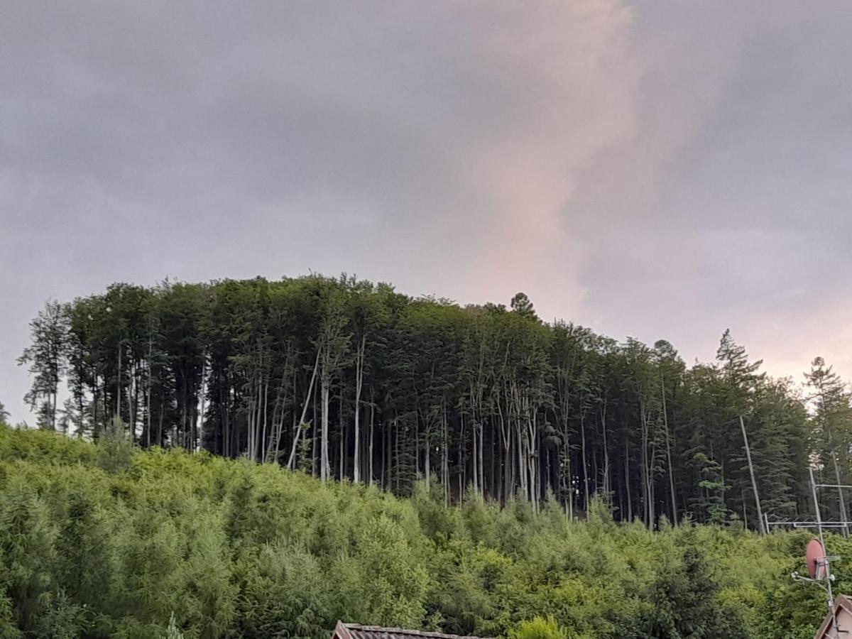 Pohoda Salas U Velehradu-2 Apartmany Uherské Hradiště Exterior foto